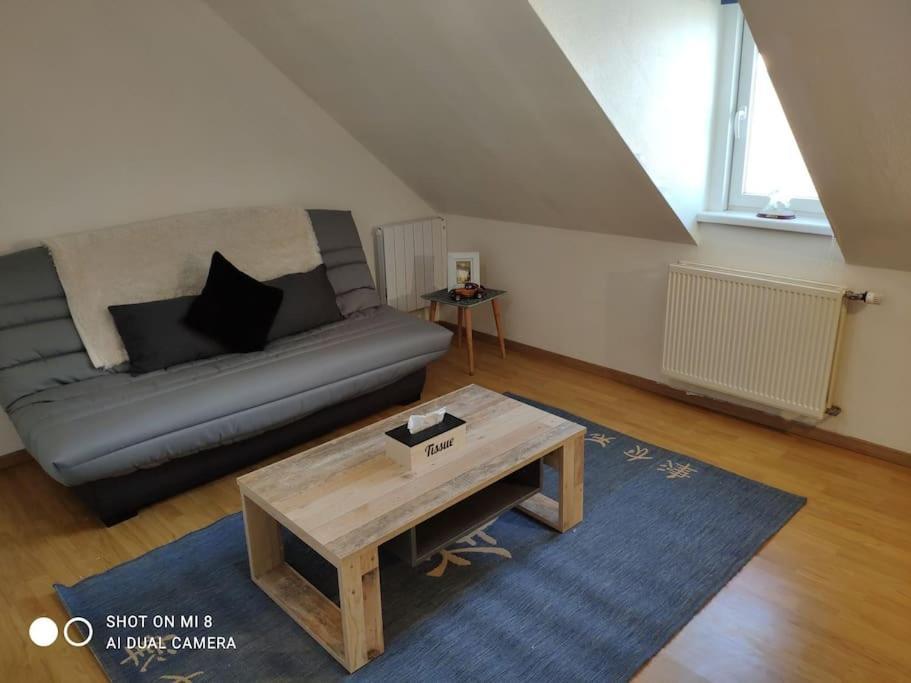 Joli Appartement Avec Place De Parking Prive Колмар Екстериор снимка