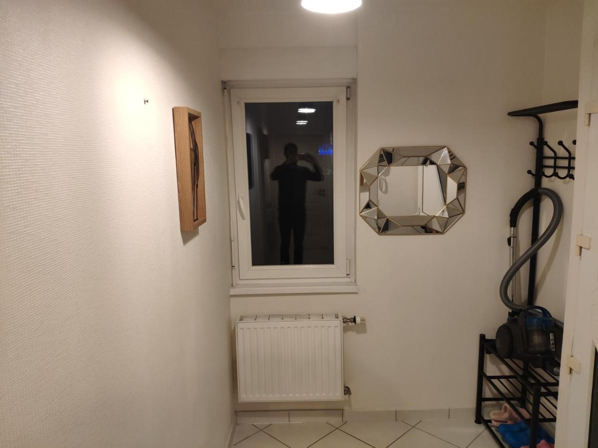Joli Appartement Avec Place De Parking Prive Колмар Екстериор снимка